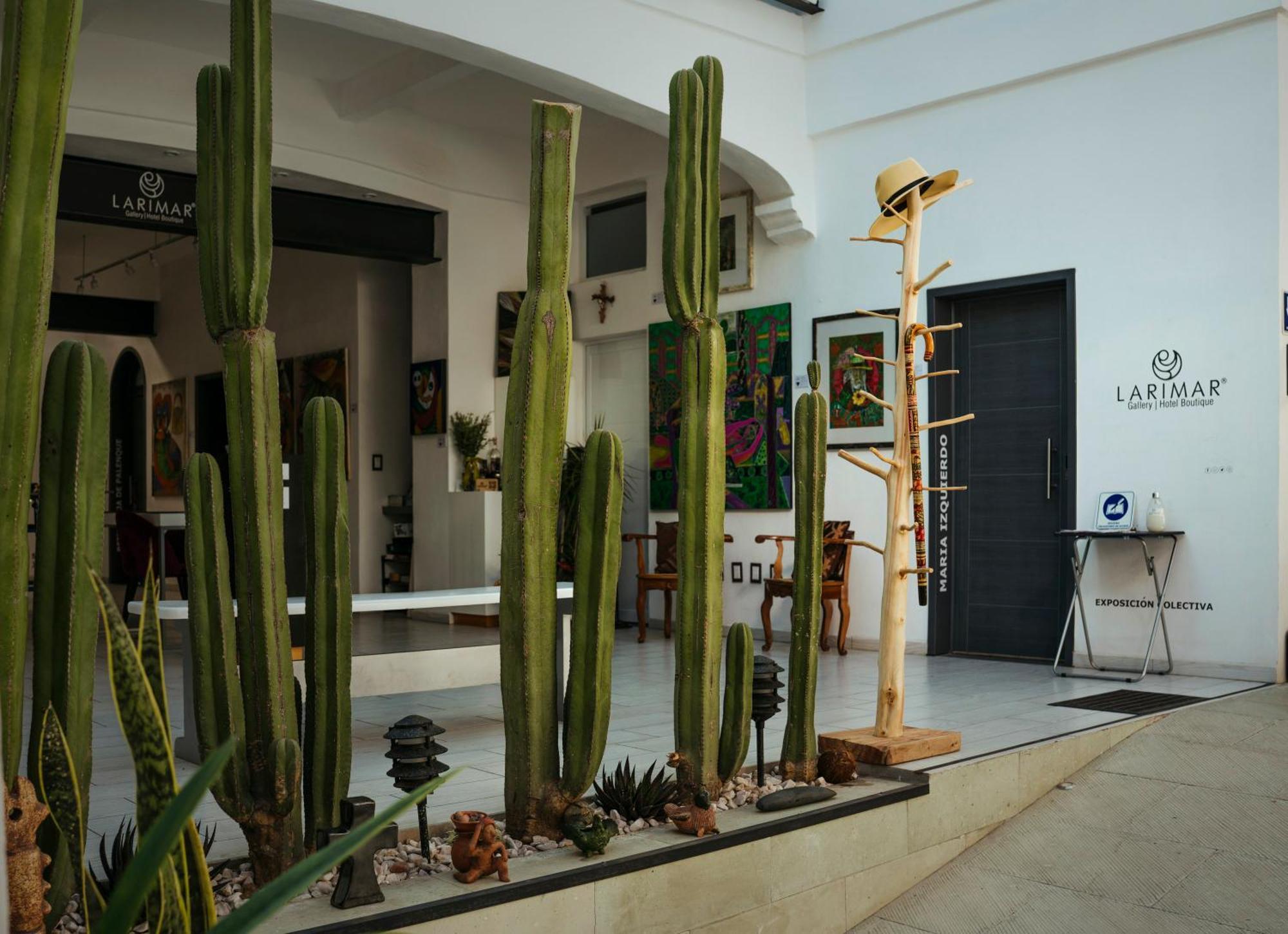 Larimar Gallery Y Hotel Boutique Oaxaca Eksteriør billede